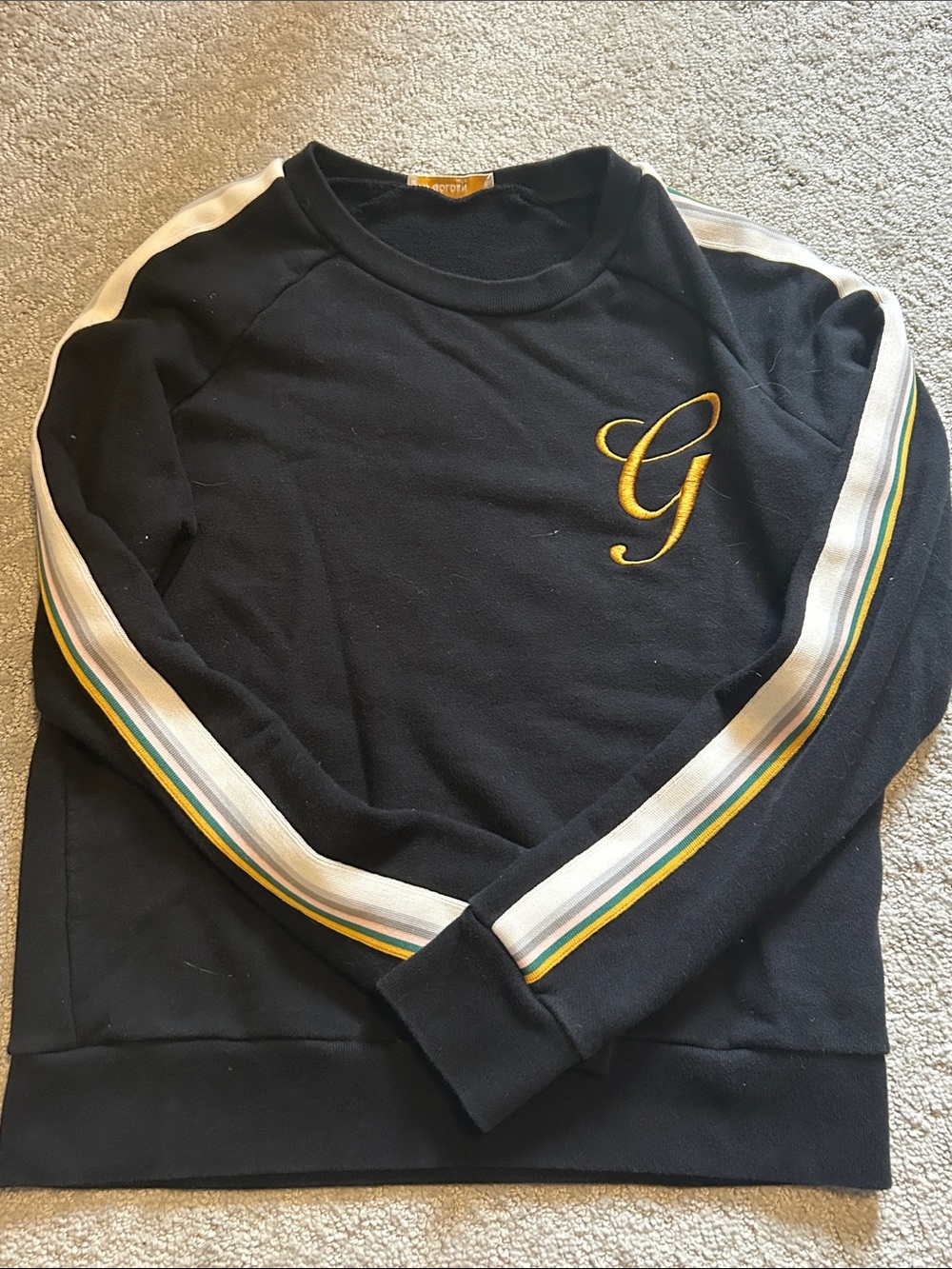 Artiza Golden by Tna sweatshirt